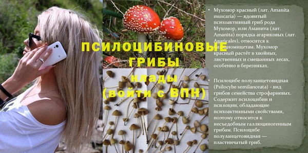 синтетический гашиш Балахна
