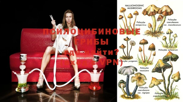 спиды Балабаново
