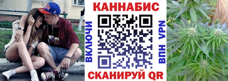 сколько стоит Озёры Канабис сатива
